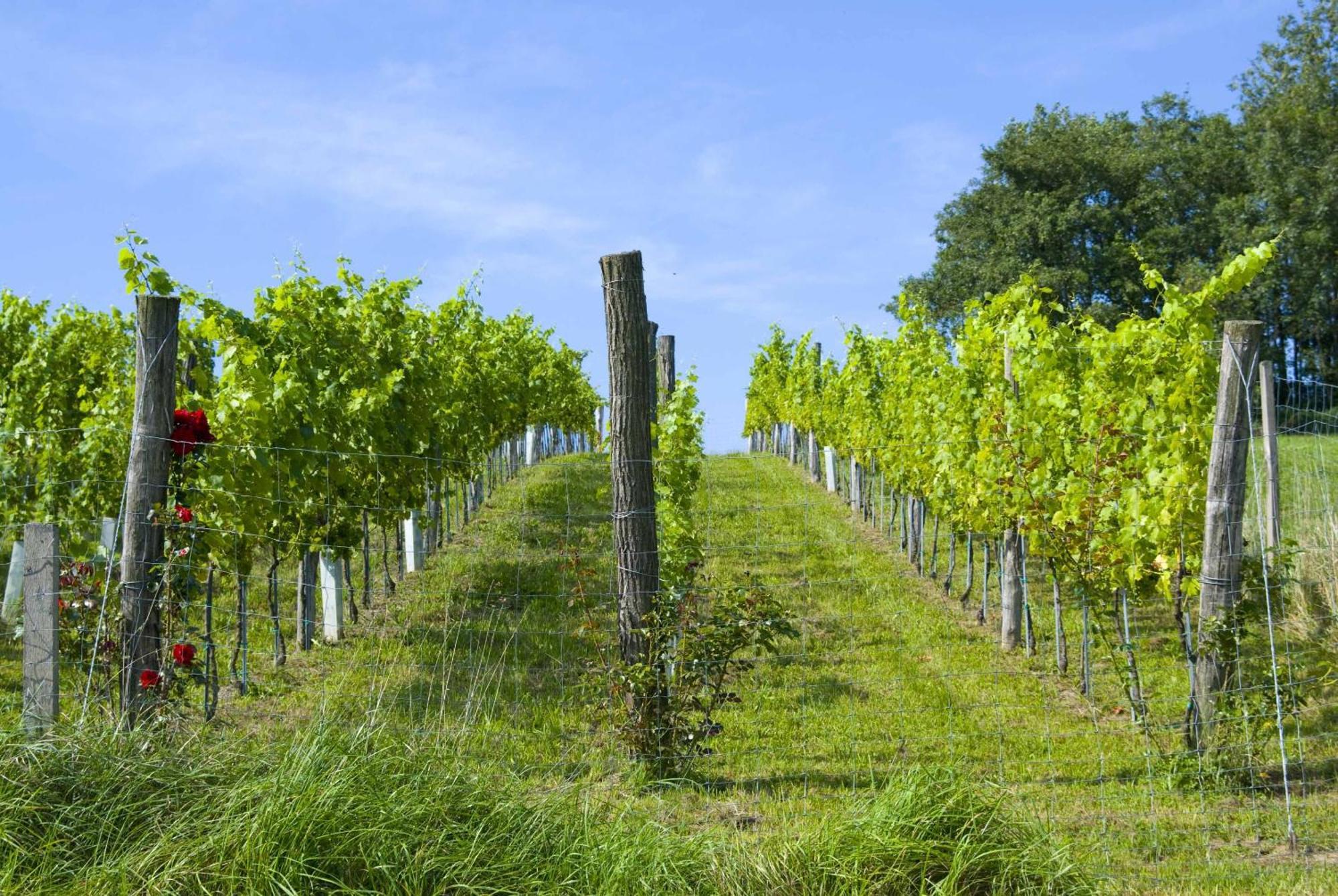 Osternacherhof Luaran gambar